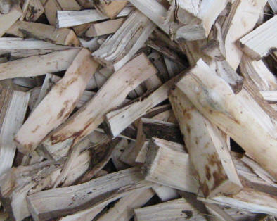 About the Agarwood