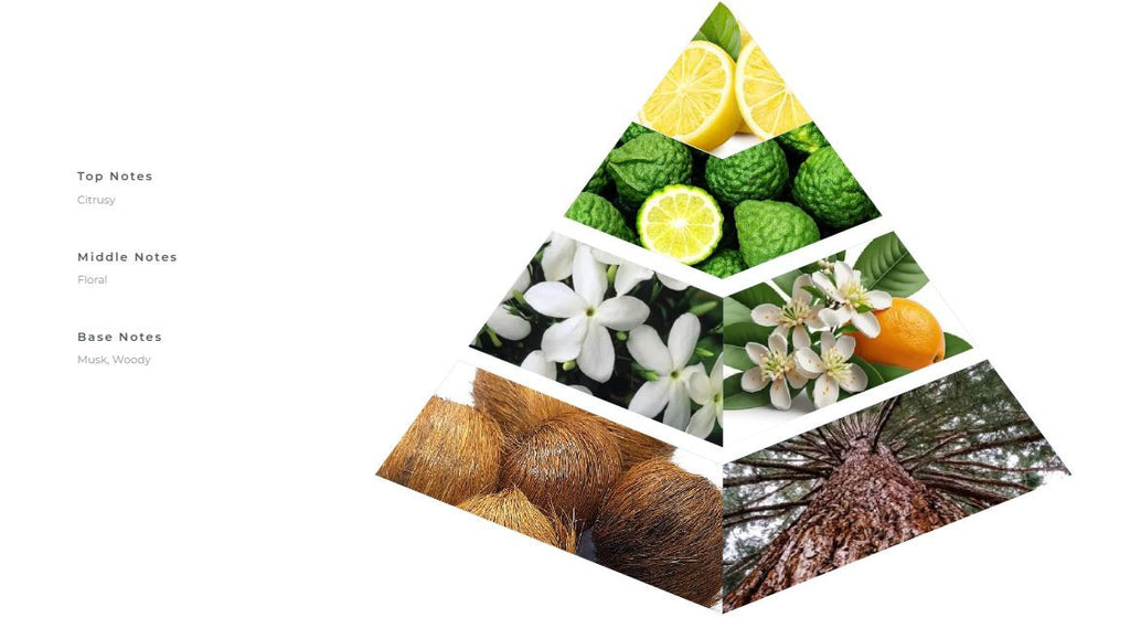 After Ecstacy Perfumed Air Freshener 320 ml