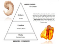 Amber Powder Concentrated Perfume Oil