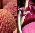 Lychee Royale