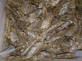 Oudh Hindi - Assam Special - Agarwood / Oudh chips