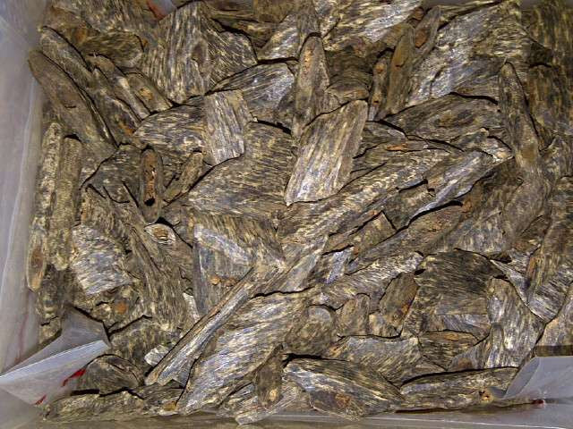 Oudh Hindi - Assam Special - Agarwood / Oudh chips