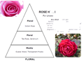 Rose Hindi Concentrated Perfume Oil by The Misk Shoppe