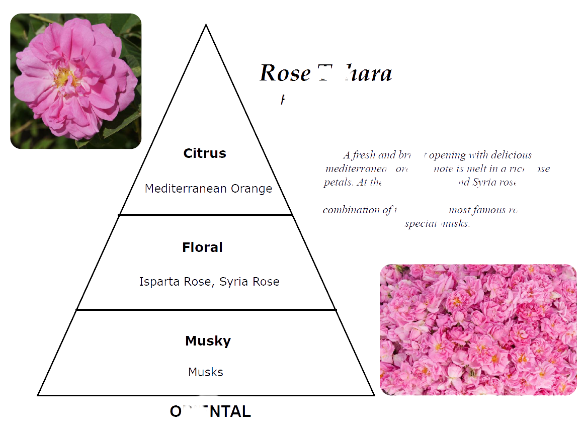 Rose Tahara ultra concentrated perfume Oil by The Misk Shoppe
